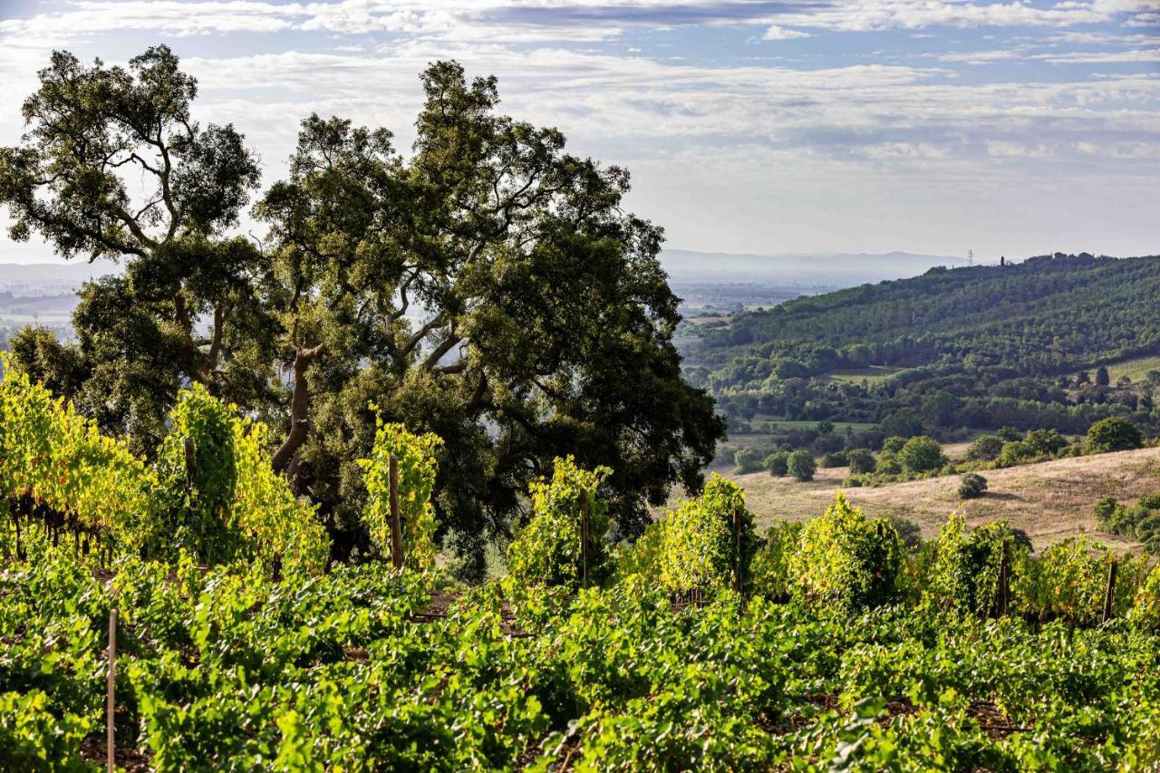 La Foresteria Di Rocca Di Frassinello Gavorrano Zewnętrze zdjęcie
